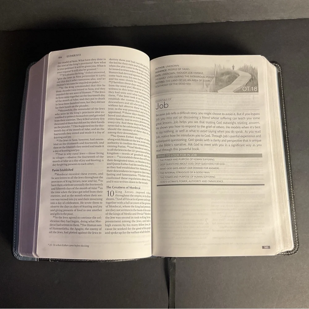 Men’s devotional Bible